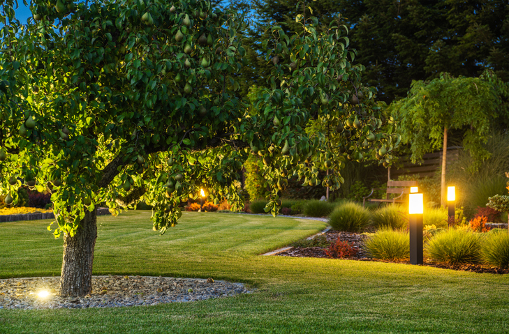 Top Reasons You Should Get Outdoor Lighting Upgrades in 2025